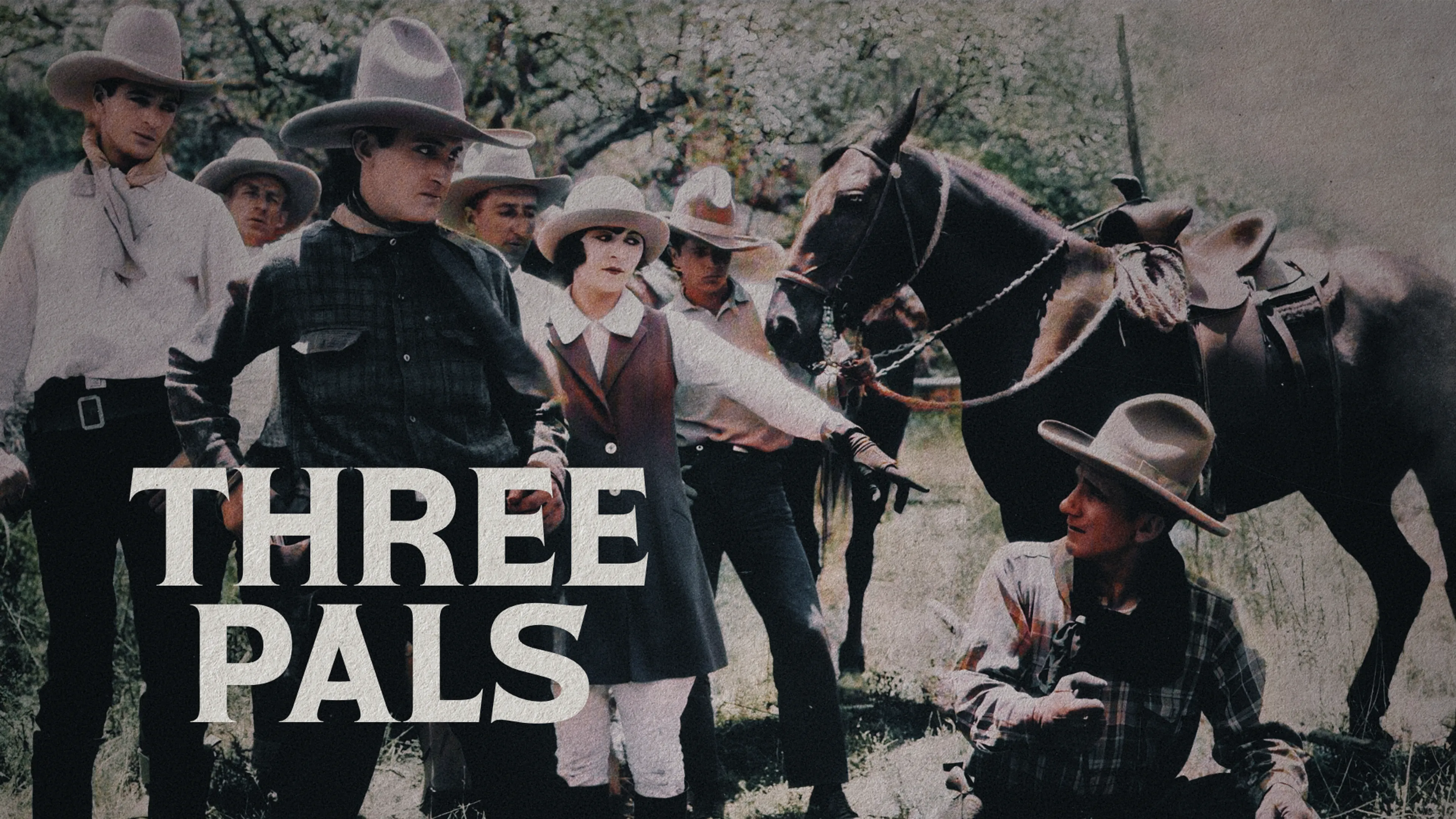 Three Pals poster